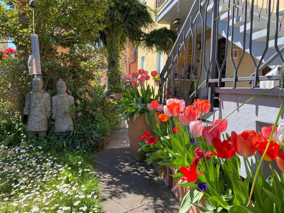 Clua Holiday House Porto Ceresio Exterior foto